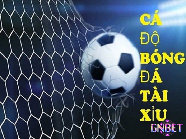 Nắm rõ cách đọc kèo bóng đá tài xỉu trước khi tham gia cá độ