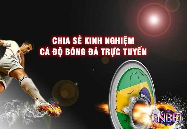 Kinh nghiệm đặt cược bóng đá qua mạng từ chuyên gia chia sẻ