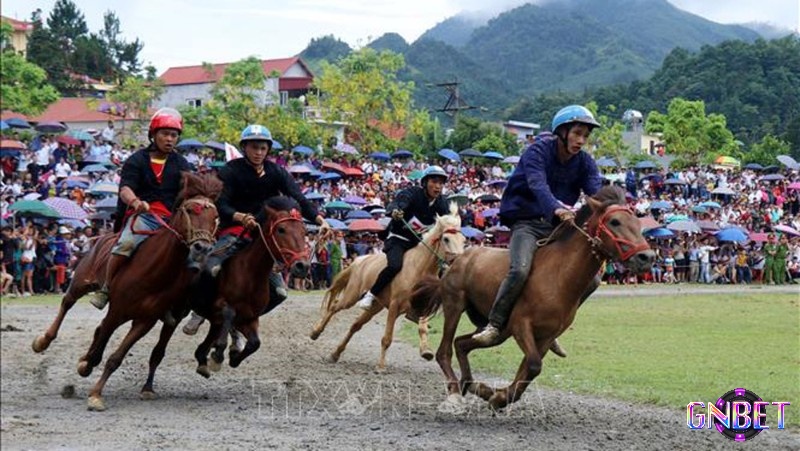 Kinh nghiệm chọn ngựa thắng giải đánh giá yếu tố tâm lý