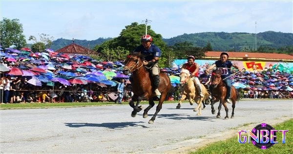 Kinh nghiệm chọn ngựa thắng giải yếu tố ảnh hưởng